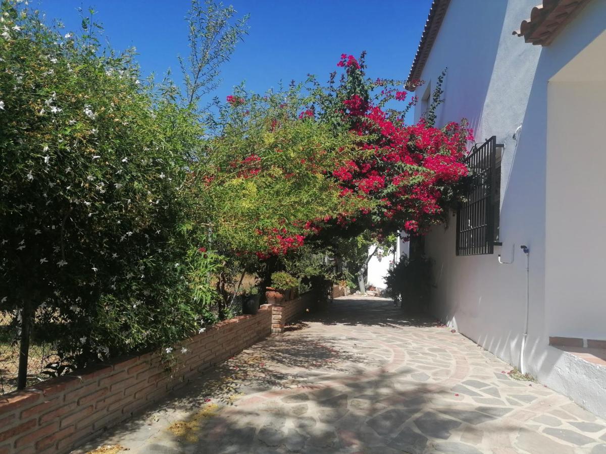 Casa Luis Villa Viñuela Dış mekan fotoğraf