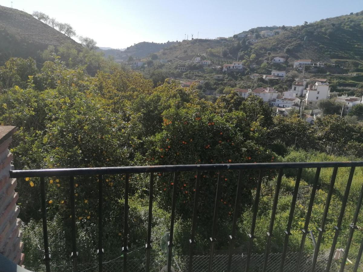 Casa Luis Villa Viñuela Dış mekan fotoğraf